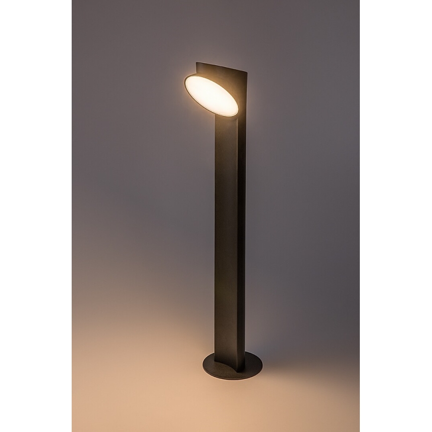 Rabalux - LED-Außenleuchte LED/12W/230V IP54