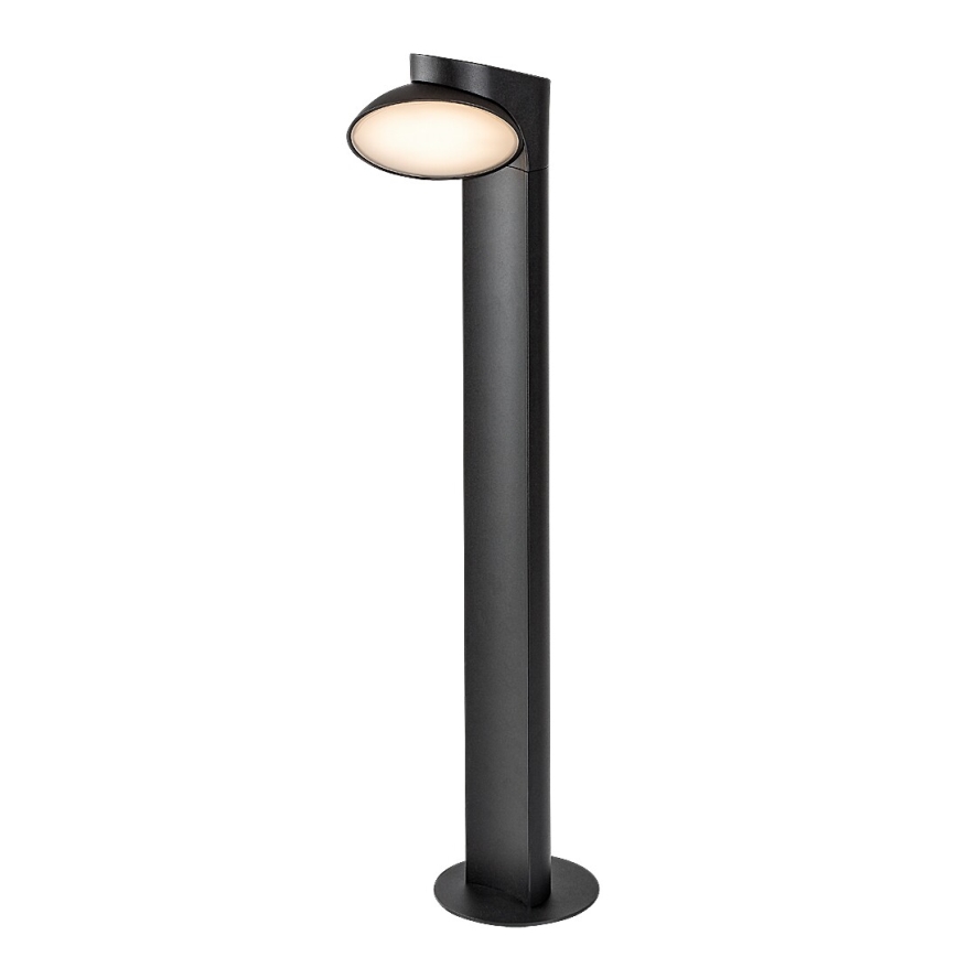 Rabalux - LED-Außenleuchte LED/12W/230V IP54