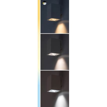 Rabalux - LED-Outdoor-Wandleuchte LED/9W/230V 2700/4000/6500K IP65 schwarz