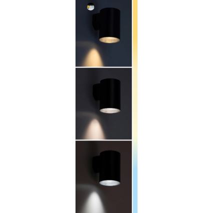 Rabalux - LED-Outdoor-Wandleuchte LED/9W/230V 2700/4000/6500K IP65 weiß