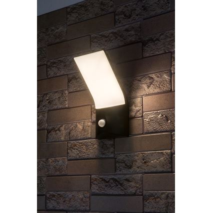 Rabalux - LED-Outdoor-Wandleuchte mit Sensor LED/10W/230V IP54