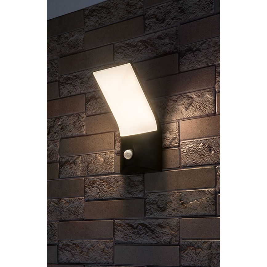 Rabalux - LED-Outdoor-Wandleuchte mit Sensor LED/10W/230V IP54