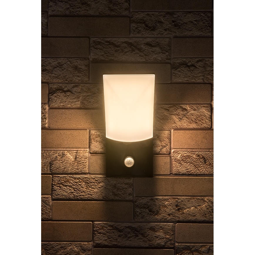 Rabalux - LED-Outdoor-Wandleuchte mit Sensor LED/10W/230V IP54