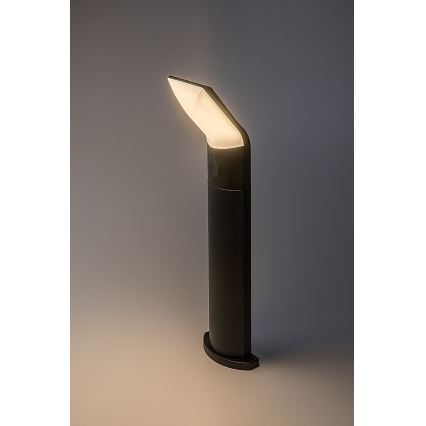 Rabalux - LED-Außenleuchte LED/10W/230V IP54