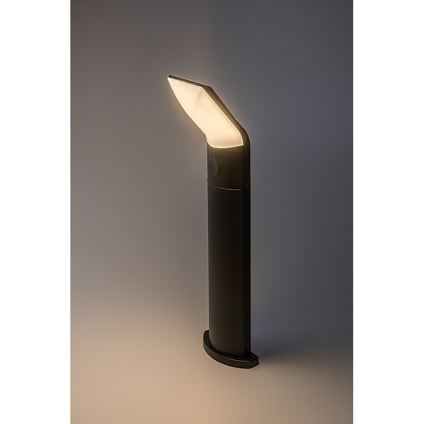 Rabalux - LED-Außenleuchte LED/10W/230V IP54