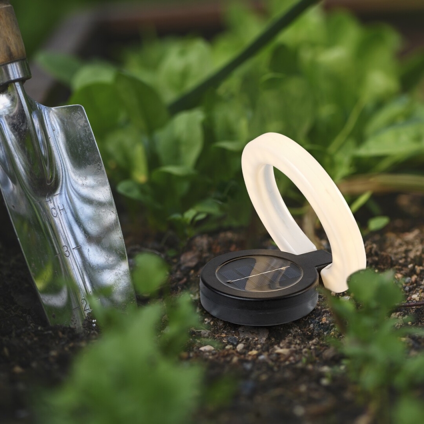 Rabalux - LED-Solarleuchte LED/0,05W/1,2V IP44