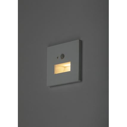 Rabalux - LED-Treppenleuchte mit Bewegungs- und Dämmerungssensor LED/1W/230V 3000/4500/6500K weiß