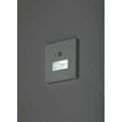 Rabalux - LED-Treppenleuchte mit Bewegungs- und Dämmerungssensor LED/1W/230V 3000/4500/6500K weiß