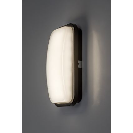 Rabalux - LED Außenwandleuchte LED/15W/230V 4000K IP65