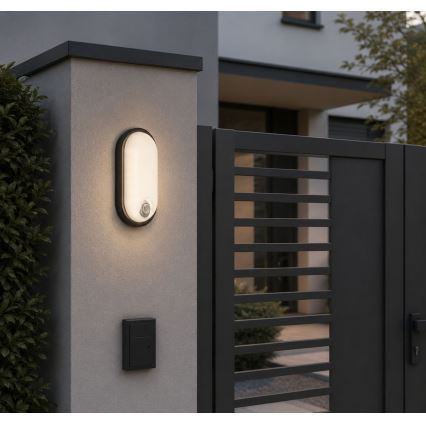 Rabalux - LED Außen-Deckenleuchte mit Sensor LED/15W/230V IP65 schwarz