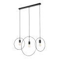 Rabalux - Deckenleuchte an Kabel 3xE27/40W/230V