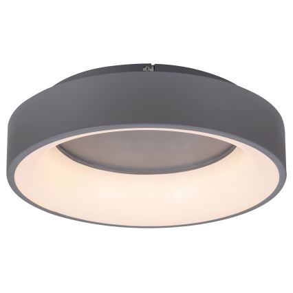 Rabalux - Dimmbare LED-Deckenleuchte LED/24W/230V rund 3000-6000K + Fernbedienung