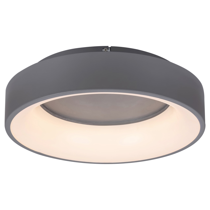 Rabalux - Dimmbare LED-Deckenleuchte LED/24W/230V rund 3000-6000K + Fernbedienung