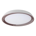 Rabalux - Dimmbare LED-Deckenleuchte LED/36W/230V Ø 51,5 cm