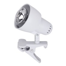 Rabalux - Lampe mit Clip 1xE14/40W/230V weiß