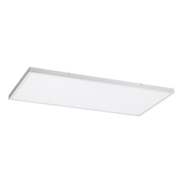 Rabalux - LED-Aufbaupanel LED/80W/230V 4000K 120x60 cm