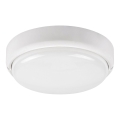 Rabalux - LED Außen-Deckenleuchte LED/15W/230V IP54 Weiß