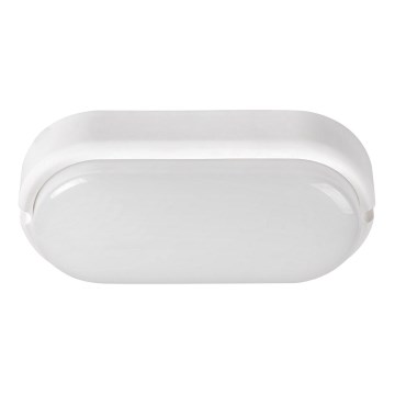 Rabalux - LED Außen-Deckenleuchte LED/15W/230V IP54 Weiß
