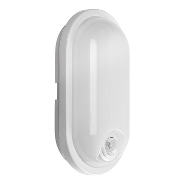 Rabalux - LED Außen-Deckenleuchte mit Sensor LED/15W/230V IP65 weiß