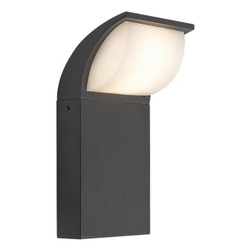 Rabalux - LED Außenwandleuchte LED/9W/230V IP65