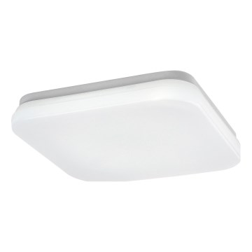 Rabalux - LED Badezimmer-Deckenleuchte LED/12W/230V 3000/4000/6000K IP44