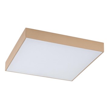 Rabalux - LED Badezimmer-Deckenleuchte LED/24W/230V 2800/4000/6000K IP44