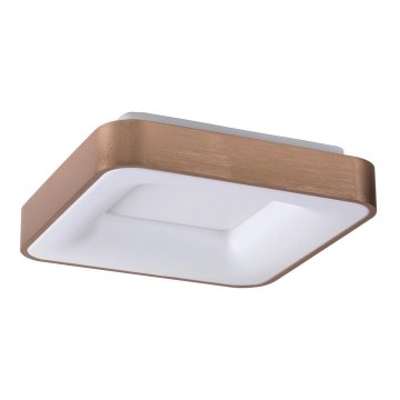 Rabalux - LED-Deckenleuchte CARMELA LED/30W/230V 40x40 cm