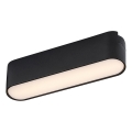 Rabalux - LED-Deckenleuchte für 1-Phasen-Schienensystem LED/6W/24V 3000K 11,5 cm schwarz