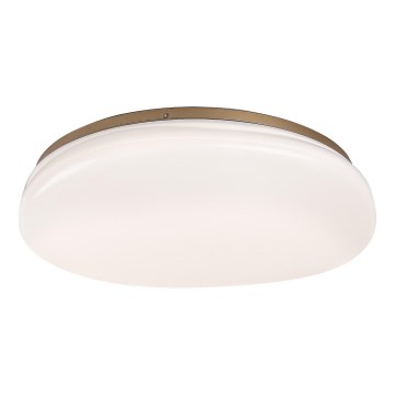 Rabalux - LED-Deckenleuchte für das Badezimmer, LED/24W/230V, IP44, Ø 41 cm