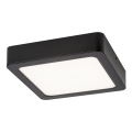 Rabalux - LED-Deckenleuchte LED/15W/230V 3000K 16x16 cm schwarz