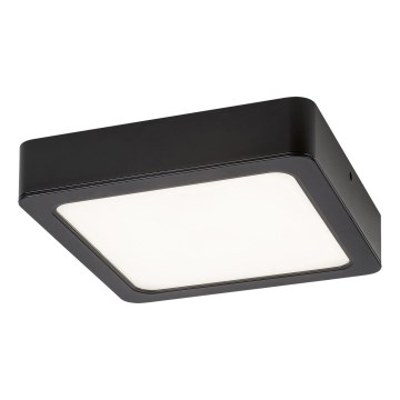 Rabalux - LED-Deckenleuchte LED/15W/230V 4000K 16x16 cm schwarz