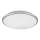 Rabalux - LED Deckenleuchte LED/18W/230V 4000K silber 27 cm