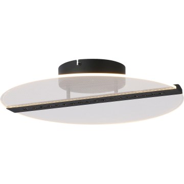 Rabalux - LED-Deckenleuchte LED/20W/230V 3000 Ø 41 cm schwarz/transparent