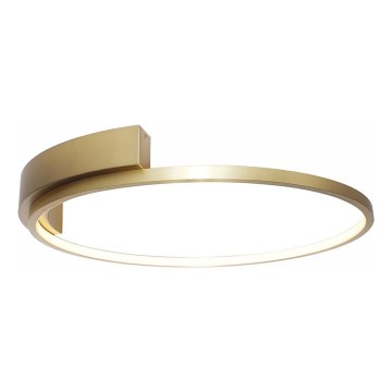 Rabalux - LED-Deckenleuchte LED/23W/230V
