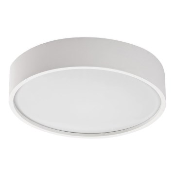Rabalux - LED Deckenleuchte mit Sensor LED/19W/230V IP44 4000K Ø 28,5 cm Weiß