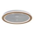 Rabalux - LED-dimmbare Deckenleuchte LED/34W/230V 3000-6500K Ø 51 cm + Fernbedienung