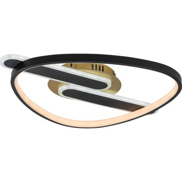 Rabalux - LED-dimmbare Deckenleuchte LED/60W/230V 3000-6000K 53x45 cm + Fernbedienung