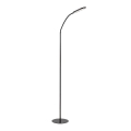 Rabalux - LED dimmbare Stehleuchte mit Touchfunktion LED/10W/230V 3000-6000K schwarz