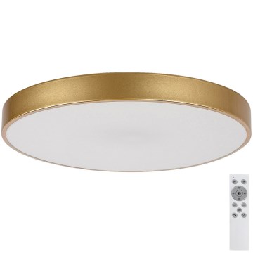 Rabalux - LED dimmbares Deckenleuchte LED/60W/230V 3000-6000K + Fernbedienung