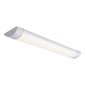 Rabalux - LED-Unterbauleuchte LED/18W/230V 60 cm