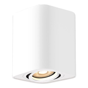 Rabalux - Spotlight 1xGU10/42W/230V weiß