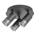 Rabalux - Strahler ZIRCON 3xGU10/5W/230V