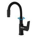 RAV Slezák CO119.0/16 - Spültischarmatur mit flexiblem Auslauf und Brause COLORADO 25 cm schwarz