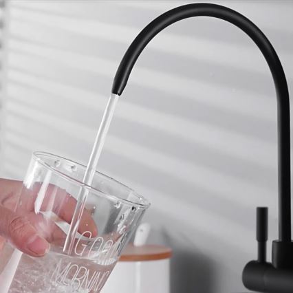 REA-B7564 - Spültischarmatur mit ausziehbarem Brausekopf und integrierter Filterfunktion ECO FRESH 37,5 cm matt schwarz