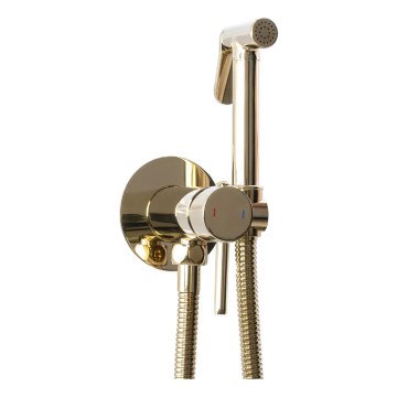 REA-B8979 - Bidet-Armatur mit Brause zur Unterputzmontage LUNGO Gold