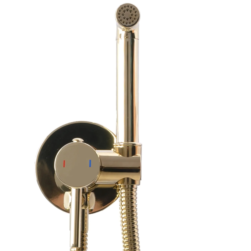 REA-B8979 - Bidet-Armatur mit Brause zur Unterputzmontage LUNGO Gold