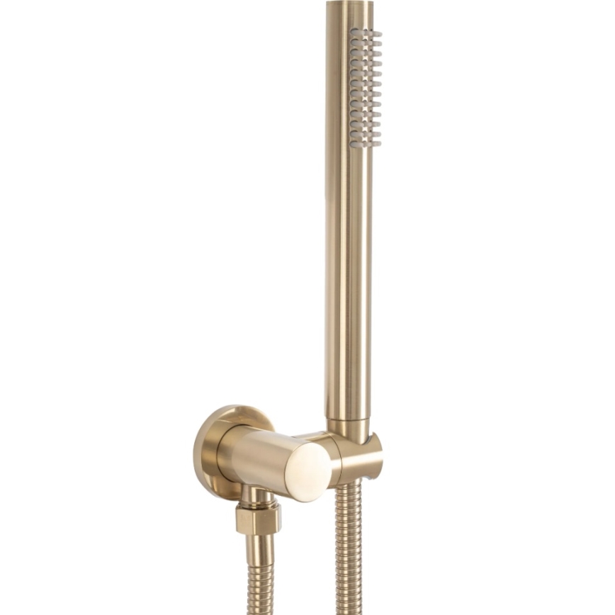 REA-P4160 - Duschset mit Unterputz-Armatur LUNGO, gebürstetes Gold