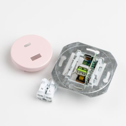 Reblig - Retro-USB-Steckdose A+C mit Rahmen, altrosa