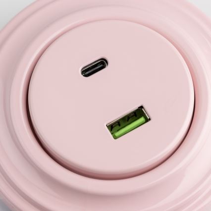 Reblig - Retro-USB-Steckdose A+C mit Rahmen, altrosa