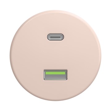 Reblig - Retro USB-Steckdose A+C, rahmenlos, altrosa